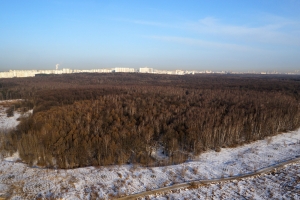 Москвичей еще 25 СНТ обеспечат транспортной инфраструктурой