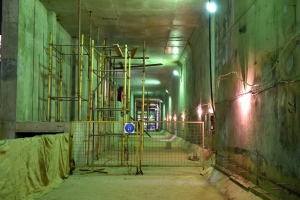 Станцию метро «Раменки» оформят в лесном стиле