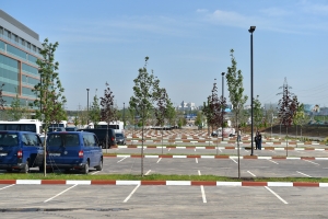 Общественно-деловой квартал появится в поселении Сосенское