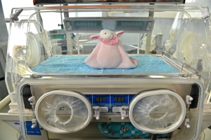 Здание роддома в ГКБ №40 на северо-востоке столицы будет обновлено