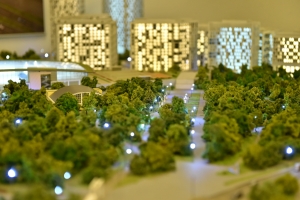 Благоустройство Петровского парка рядом со стадионом «Динамо» завершится в 2019 году