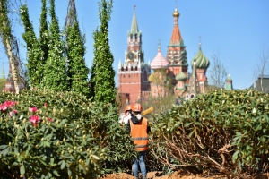 В парке «Зарядье» высадили 700 деревьев