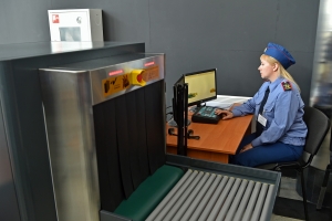 Платить или не платить: разработаны правила перевоза багажа на МЦД