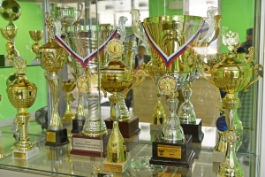 Инвесторы построили четыре спортивных объекта в этом году