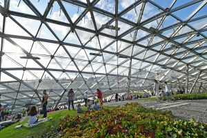 Более 44 тысяч цветов высадят в парке «Зарядье»