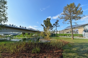 Экзотические растения по «космическим» технологиям будут выращивать в «Зарядье»