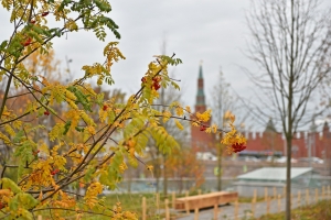 Парк «Зарядье» посетили почти 2 млн человек