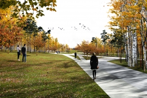 Сады в стиле разных стран могут появиться при реновации Головинского района