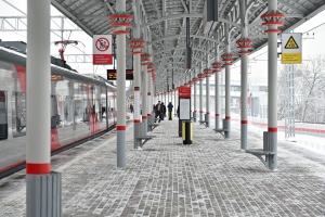 На станции МЦК «Ботанический сад» пройдет День пассажира