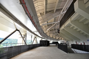 «Лужники» идут вперед