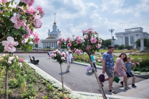 Опоры для колеса обозрения «Солнце Москвы» на ВДНХ доставят в столицу в ноябре