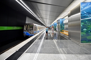 Три объекта метрополитена оформлены в Росреестре Москвы в январе