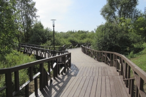 Территорию паркового комплекса в ТиНАО освободили от самостроя