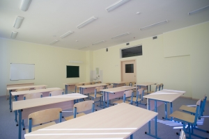 Школу на 600 учеников ввели в деревне Ликова Новой Москвы