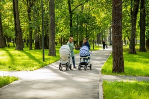 Парк площадью 23 га может появиться на улице Демьяна Бедного