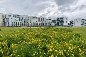 Парк имени Жореса Алферова в Сколково откроется в 2020 году