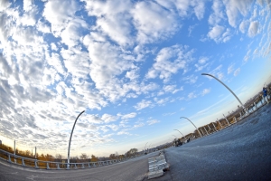 В Мнёвниковской пойме построят два автомобильных и два велопешеходных моста