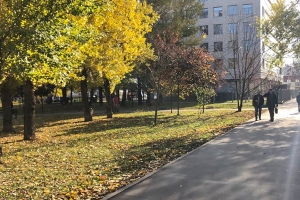 В районе Нагорный при реновации отменен перенос теплосети для сохранения деревьев