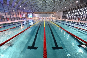 «Лужники» становятся уникальным спортивным кластером Москвы