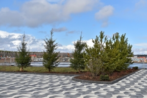 Общественное пространство появится вблизи метро «Алтуфьево» в рамках КРТ