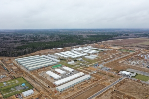 Три новые поликлиники откроют в поселении Внуковском