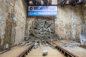 Более 20 станций метро появится в ТиНАО к 2035 году