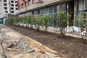 В Новой Москве строится зоогостиница