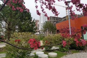 Более 80 новых парков появится в ТиНАО