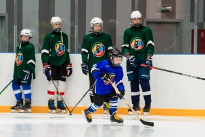 Спортивные комплексы Новой Москвы включают ледовые арены с трибунами, а также бассейны