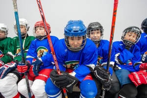 Шесть спортивных объектов введено в эксплуатацию в ТиНАО с 2012 года