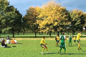 Живописный парк и бульвар создадут в «Городе на реке Тушино-2018»