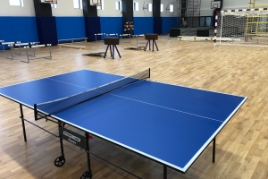 В Москве построят 11 объектов спорта по проектам КРТ