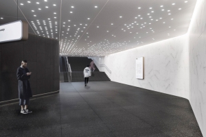 На станции «Кленовый бульвар» БКЛ метро начался монтаж «звездного неба»