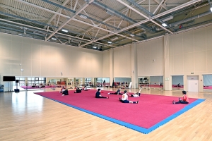 Спортивный комплекс «Одиссей» в районе Ивановское ждет капремонт