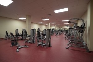 Спорткомплекс с медцентром возведут в районе Ново-Переделкино