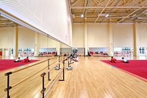 Участок для строительства ФОКа выставят на торги в Северном Бутове