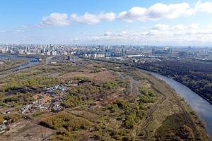 На территории Мнёвниковской поймы может появиться пляж для отдыха