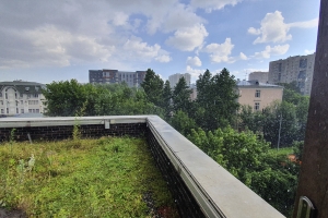 Элементы «зеленого» строительства внедряют при реновации