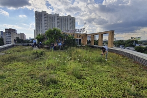 Жидкин сообщил, что парки в ТиНАО создают и за счет застройщика