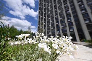 При реализации программы реновации применяются подходы Urban Health