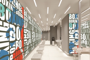 Международный центр самбо и центр бокса в Лужниках готовят к вводу