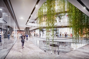 Определяющая среда