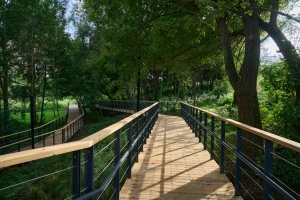 На набережной Раменки появились удобные спуски к воде и экотропа