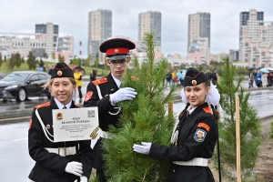 «Кедры Великой Победы»: в парке «Ходынское поле» создали Аллею Славы