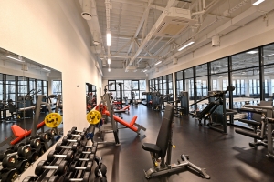 Инвесторам выделят участки для строительства девяти спорткомплексов