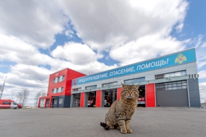 В Новой Москве будут работать 17 пожарных депо к 2024 году