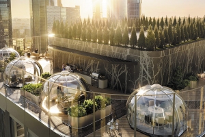 Беседки-иглу и зона барбекю появятся на крышах небоскребов на Кутузовском