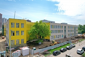 Бережное строительство: вековой дуб сохранили при возведении школы в Новой Москве