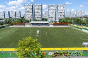 Футбольное поле, ледовый дворец и ФОК с бассейном построят в ЮЗАО