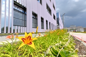 Еще 400 жителей района Филёвский Парк переедут по реновации